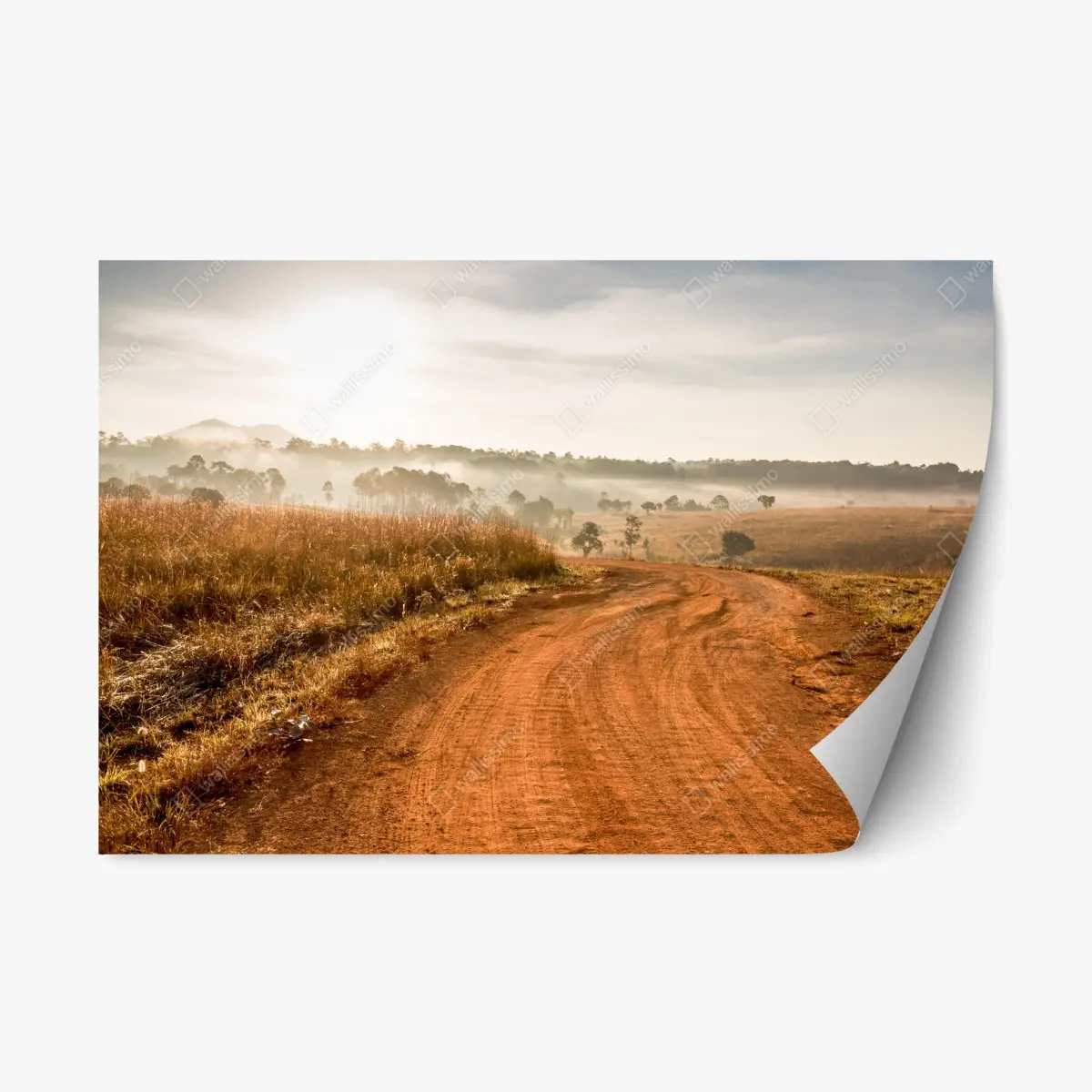 Repositionierbarer Aufkleber morgendlicher feldweg in Thung Salaeng Luang – Pixers®