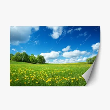 Repositionierbarer Aufkleber sonnige wiese mit löwenzahn und blauem himmel – Pixers®