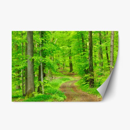 Repositionierbarer Aufkleber ruhiger waldweg im frühling – Pixers®