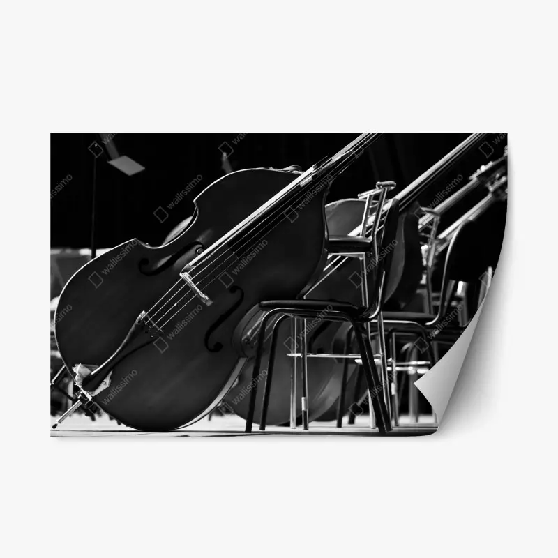 Repositionierbarer Aufkleber monochrome kontrabässe im orchester