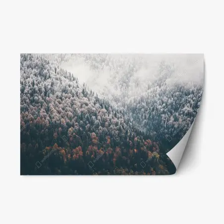 Repositionierbarer Aufkleber nebliger herbstwald am schneebedeckten berg – Pixers®