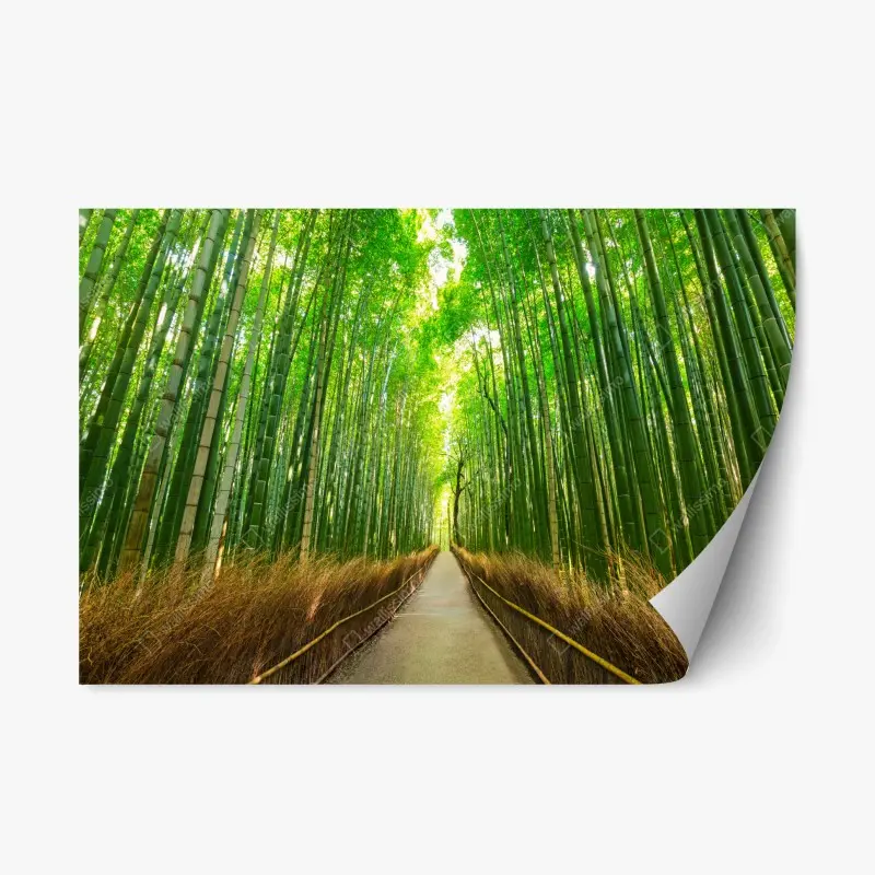 Repositionierbarer Aufkleber ruhiger bambusweg in Kyoto
