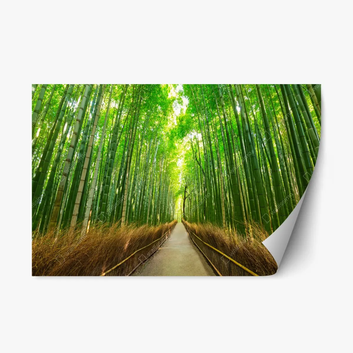 Repositionierbarer Aufkleber ruhiger bambusweg in Kyoto – Pixers®