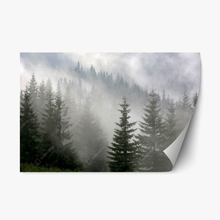 Repositionierbarer Aufkleber nebliger kiefernwald im morgengrauen – Pixers®