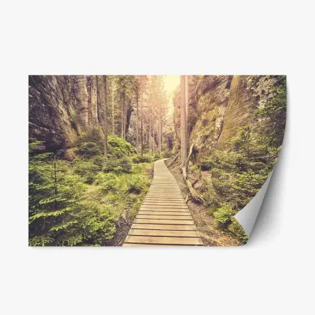 Repositionierbarer Aufkleber sonniger holzsteg in Adrspach Teplice – Pixers®