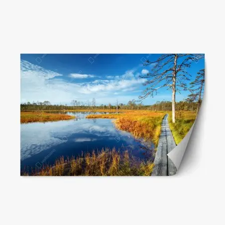 Repositionierbarer Aufkleber herbststeg über ruhigem moor – Pixers®