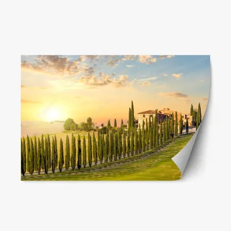 Repositionierbarer Aufkleber Toskana sonnenuntergang zypressenallee – Pixers®