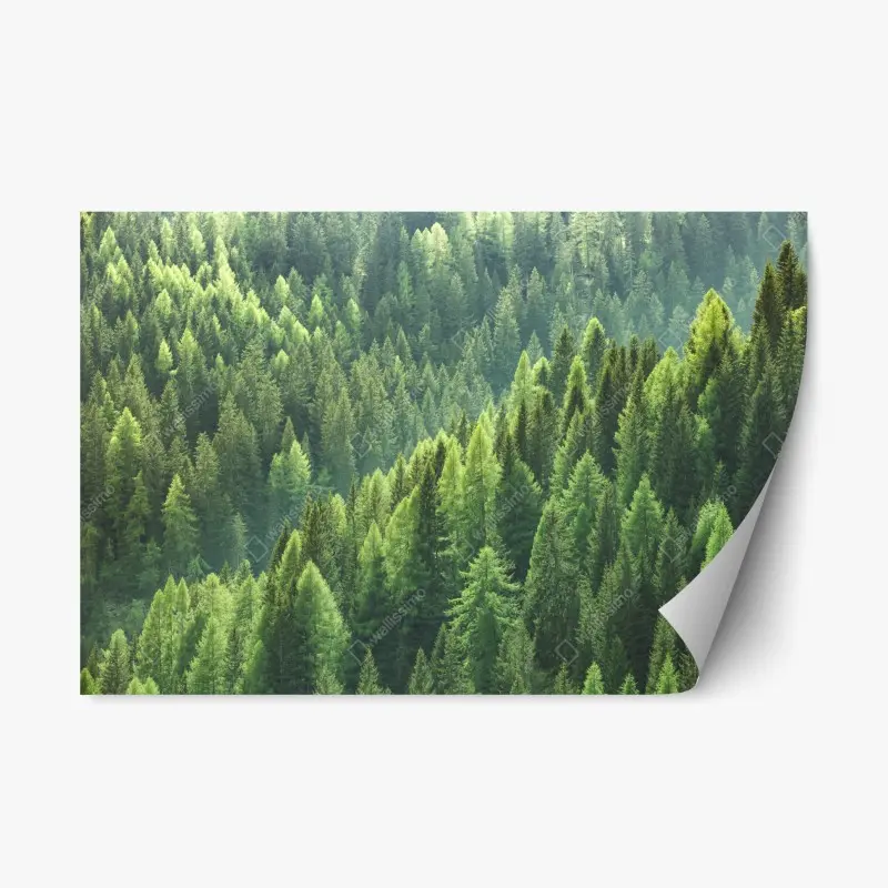 Repositionierbarer Aufkleber üppige grüne waldpanorama