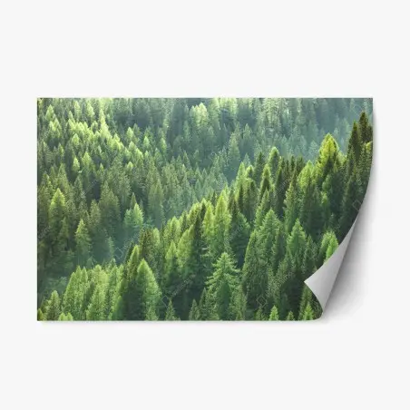 Repositionierbarer Aufkleber üppige grüne waldpanorama – Pixers®