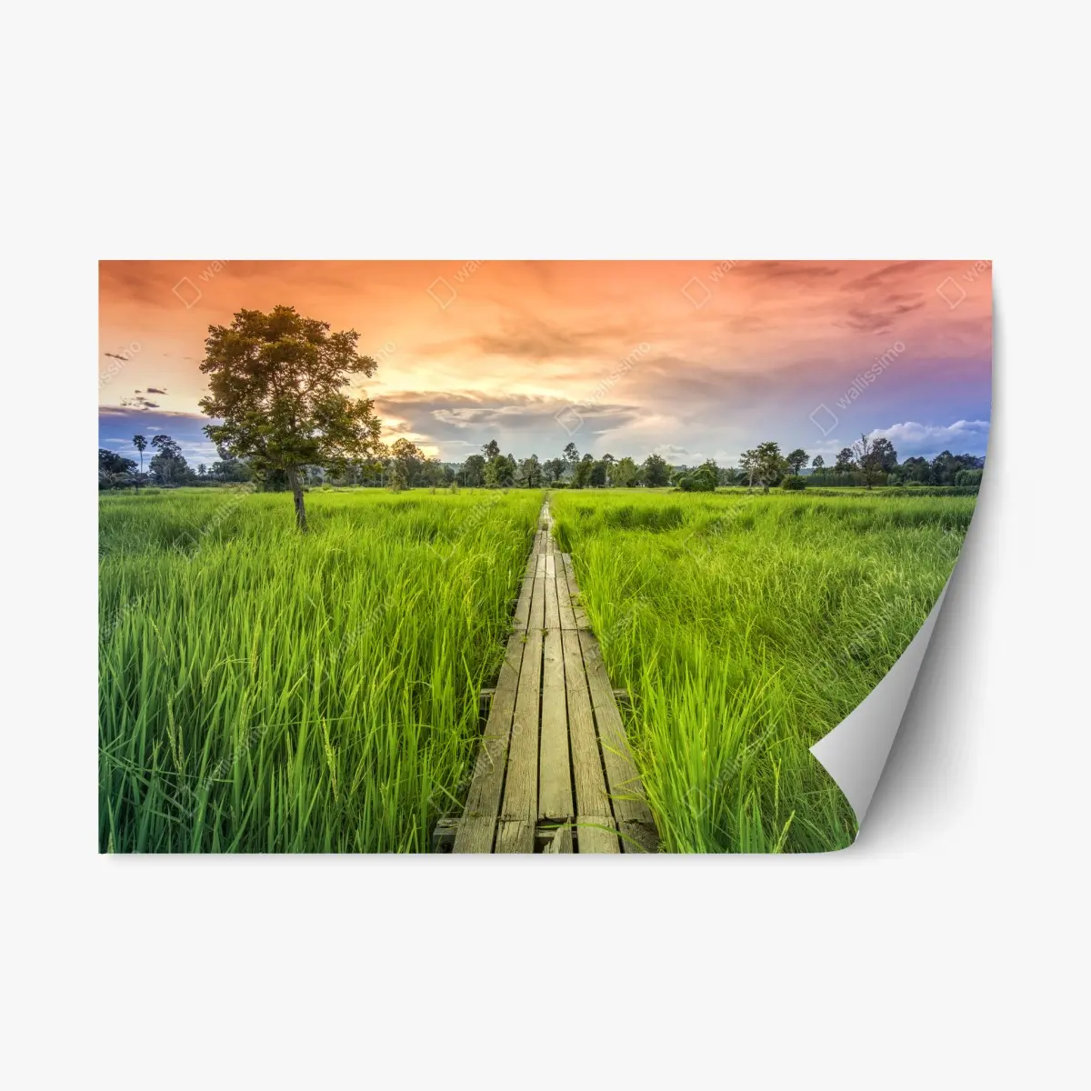 Repositionierbarer Aufkleber sonnenuntergang über einer hölzernen brücke in Khonburi – Pixers®