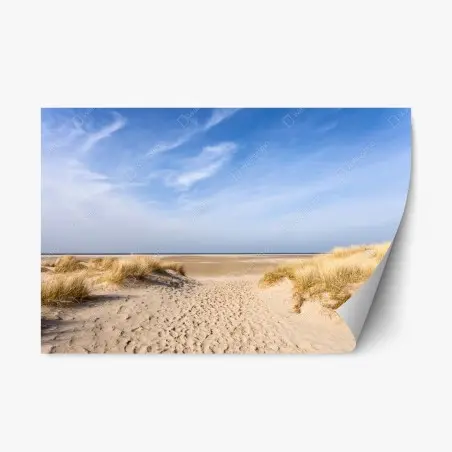 Repositionierbarer Aufkleber ruhige dünen an der deutschen küste – Pixers®