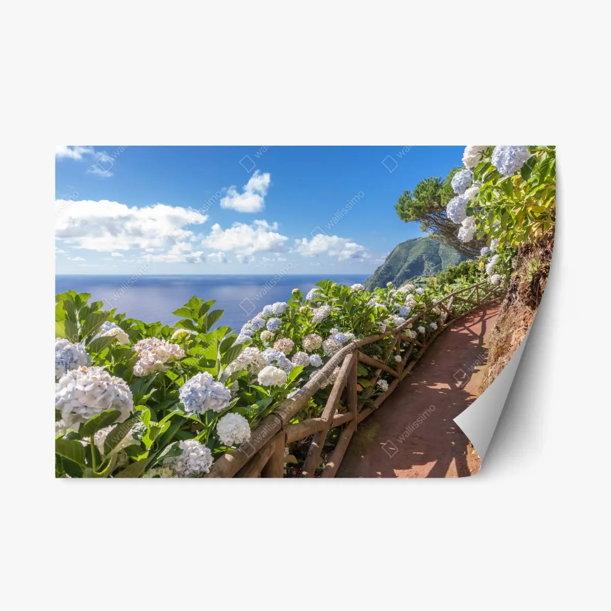 Repositionierbarer Aufkleber küstenweg mit hortensien, São Miguel, Azoren – Pixers®