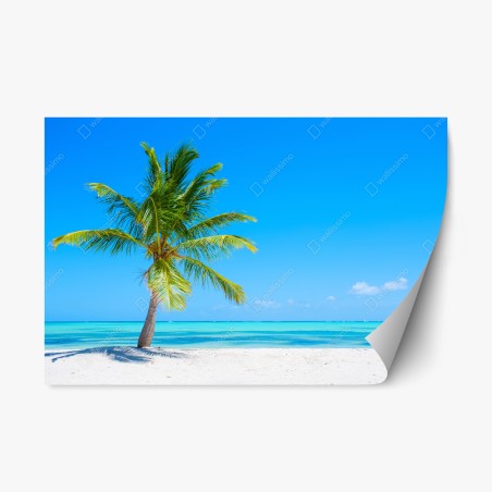 Repositionierbarer Aufkleber tropische palme am weißen sandstrand – Pixers®