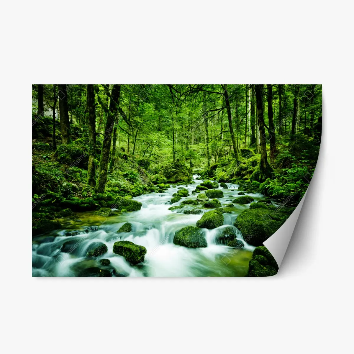 Repositionierbarer Aufkleber moosbedeckter waldbach – Pixers®