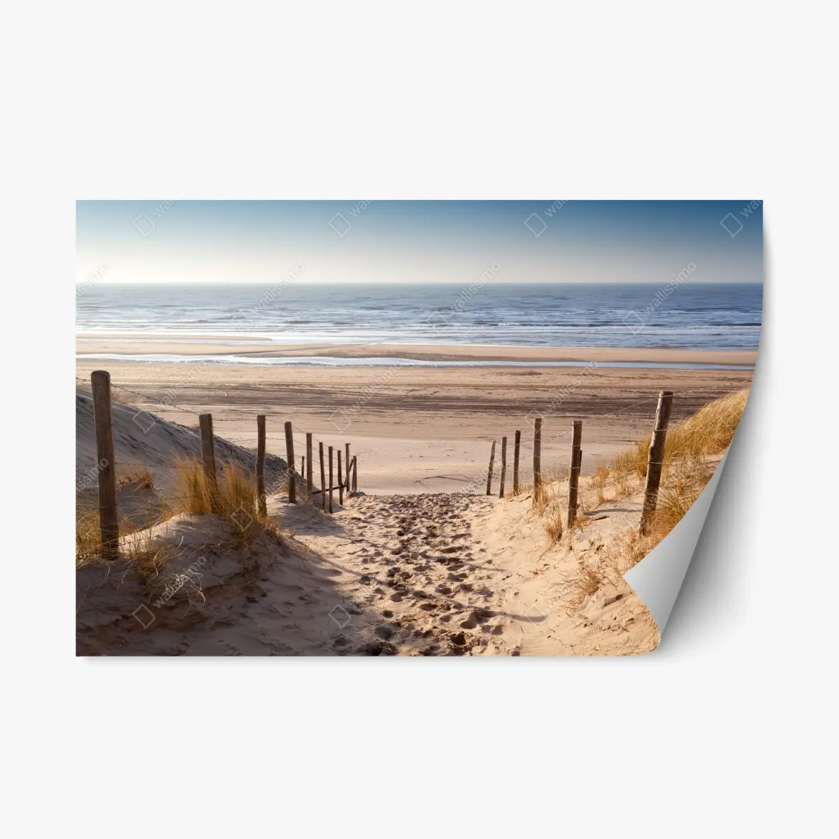 Repositionierbarer Aufkleber sonniger weg zur Nordsee – Pixers®
