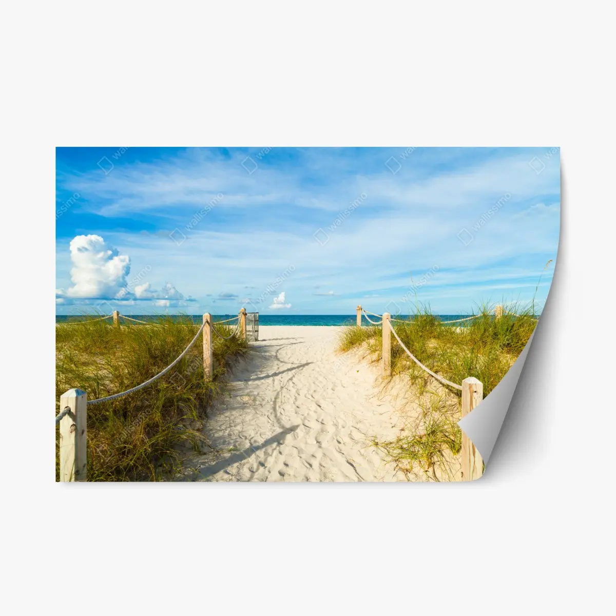 Repositionierbarer Aufkleber weg zum strand in Miami – Pixers®