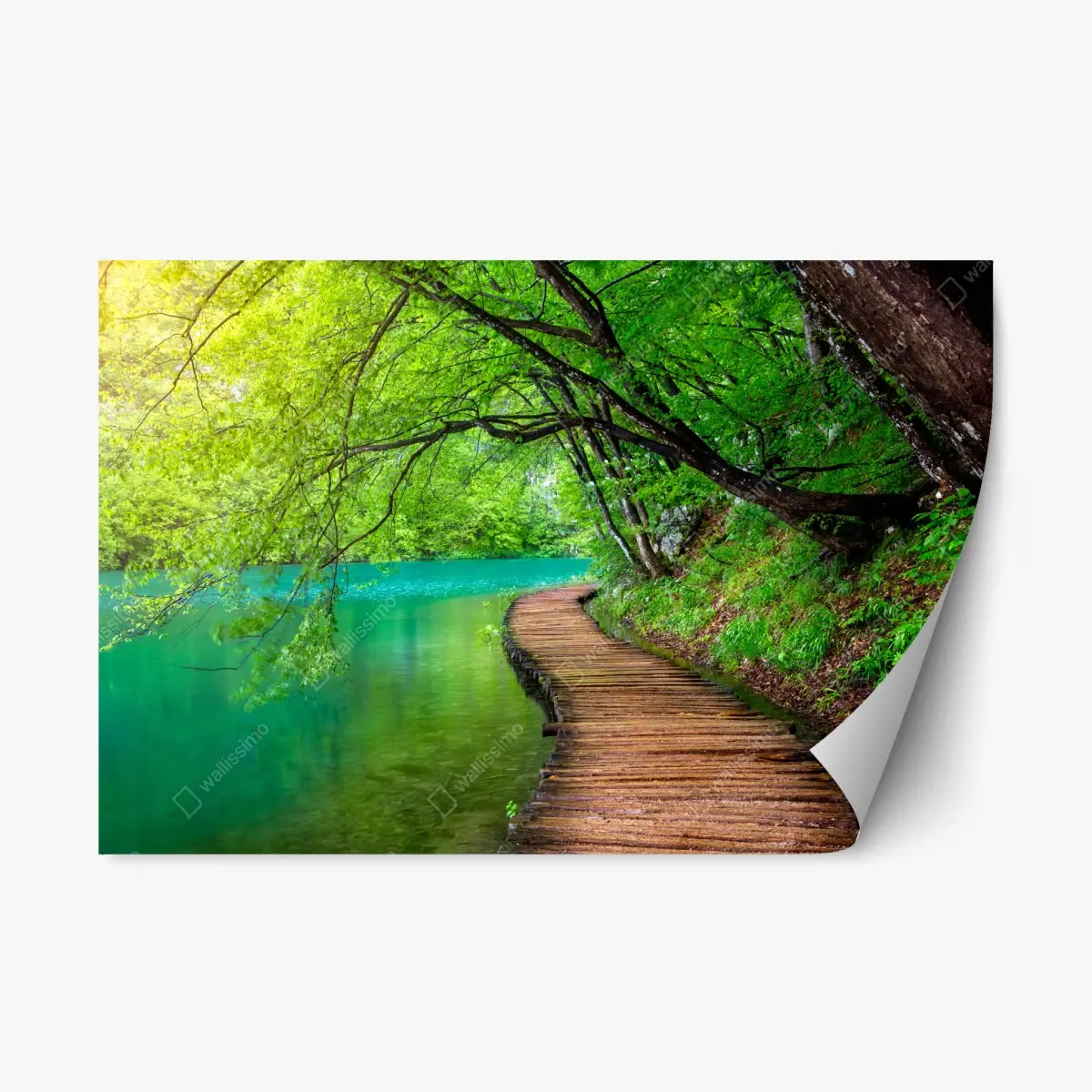 Repositionierbarer Aufkleber ruhiger holzsteg am see im grünen wald – Pixers®