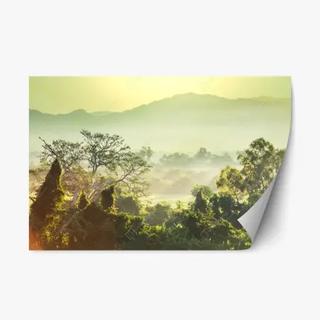 Repositionierbarer Aufkleber nebliger dschungel in Vietnam bei sonnenaufgang – Pixers®