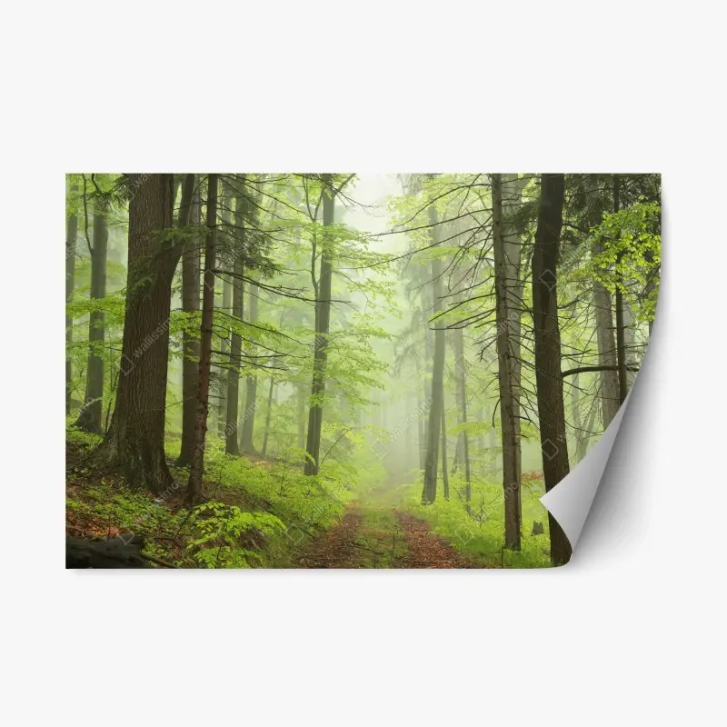 Repositionierbarer Aufkleber nebliger grüner waldpfad