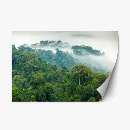 Repositionierbarer Aufkleber morgendlicher nebel über dem wald von Kaeng Krachan – Pixers®