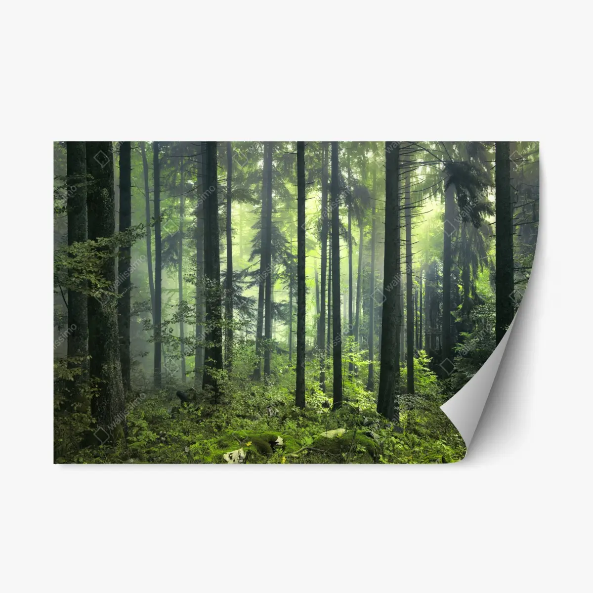 Repositionierbarer Aufkleber mystischer grüner frühlingswald – Pixers®