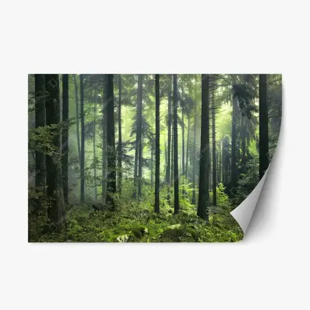 Repositionierbarer Aufkleber mystischer grüner frühlingswald – Pixers®