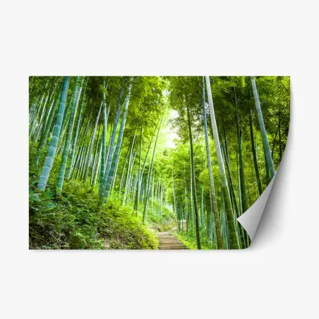 Repositionierbarer Aufkleber ruhiger bambuswaldweg – Pixers®