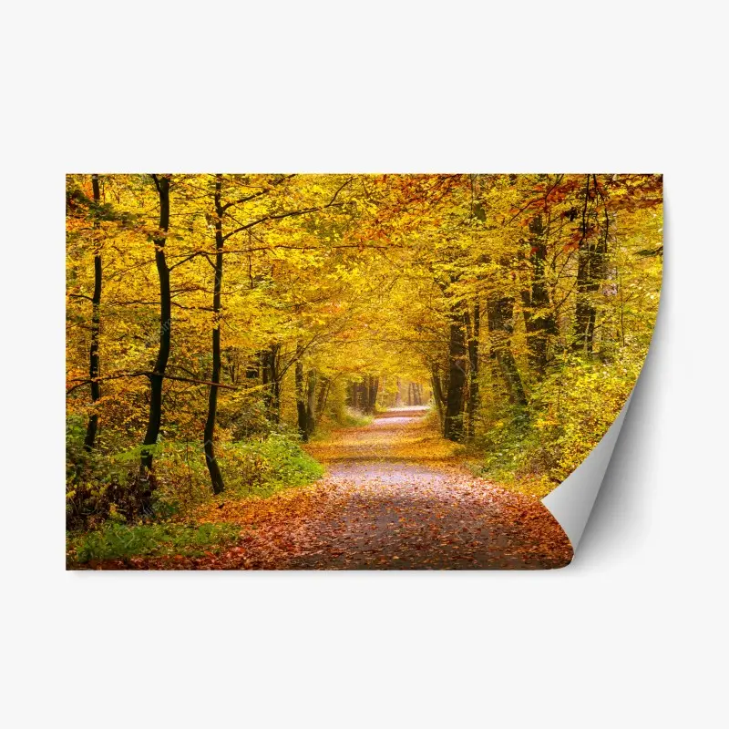 Repositionierbarer Aufkleber goldener herbstwaldweg