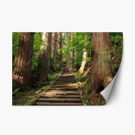 Repositionierbarer Aufkleber steinne treppe im alten wald – Pixers®