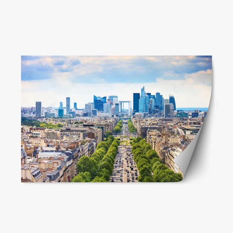 Repositionierbarer Aufkleber Paris skyline über baumgesäumter avenue