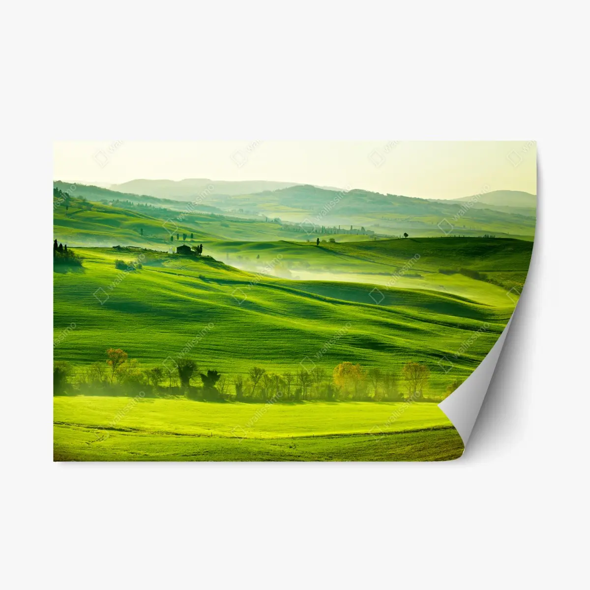 Repositionierbarer Aufkleber sonnige sanft hügelnde landschaft der Toskana – Pixers®