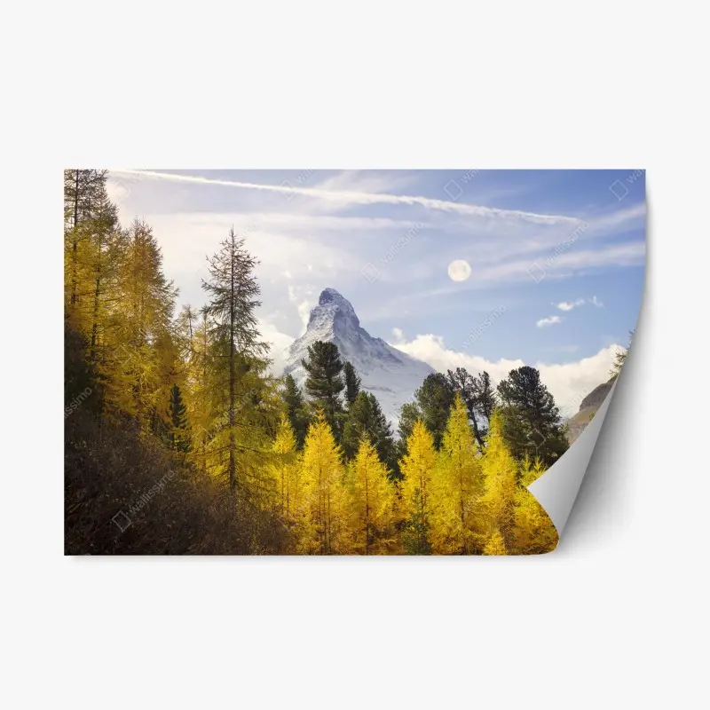 Repositionierbarer Aufkleber goldene lärchen und Matterhorn