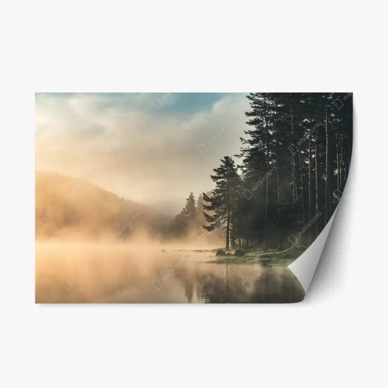 Repositionierbarer Aufkleber nebliger sonnenaufgang über waldsee