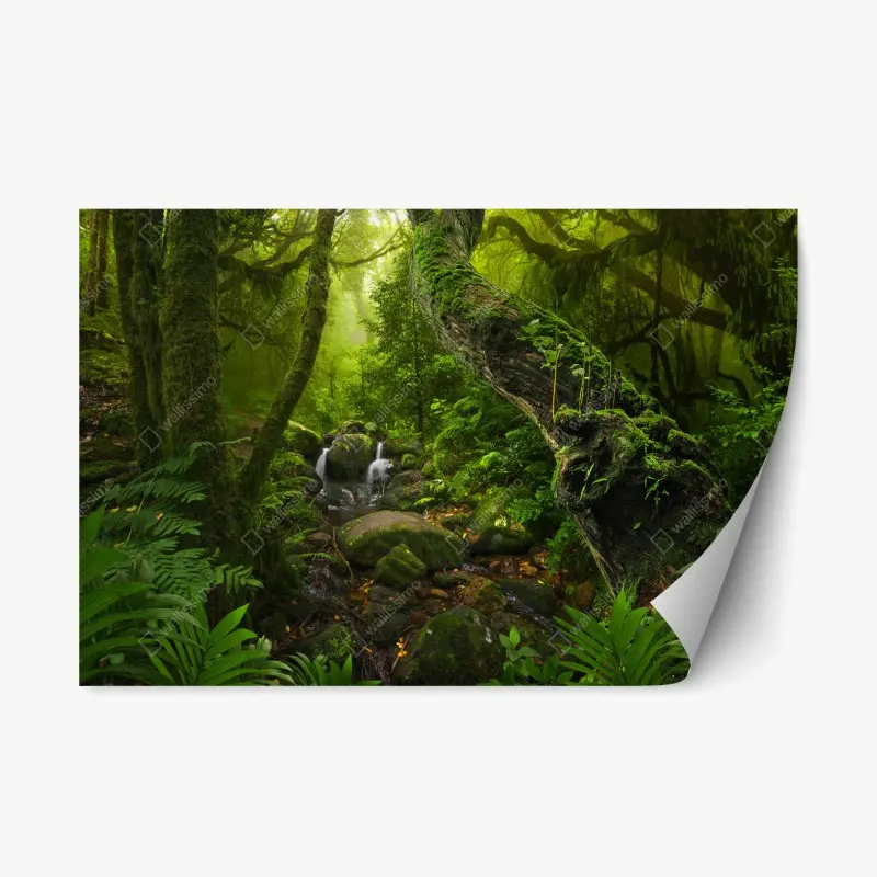 Repositionierbarer Aufkleber moosiger waldbach im morgenlicht