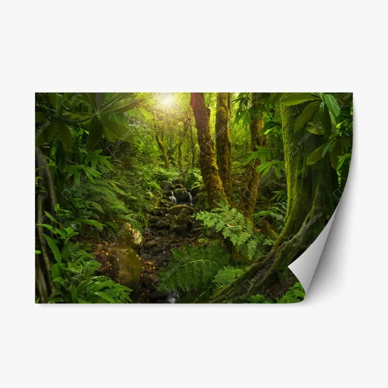 Repositionierbarer Aufkleber moosiger waldbach im sonnenlicht