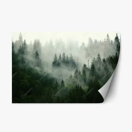 Repositionierbarer Aufkleber nebliger nadelwald – Pixers®