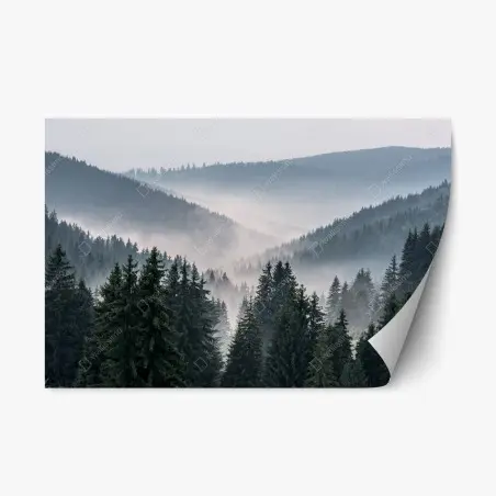 Repositionierbarer Aufkleber nebliger bergwald – Pixers®