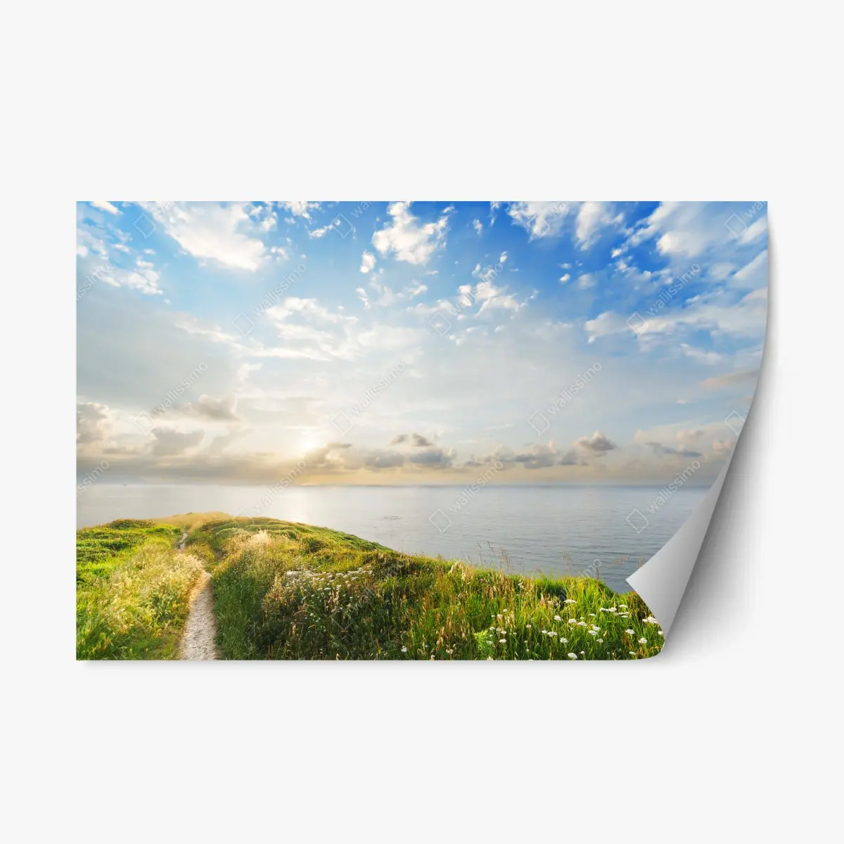 Repositionierbarer Aufkleber sonniger küstenpfad zum meer – Pixers®