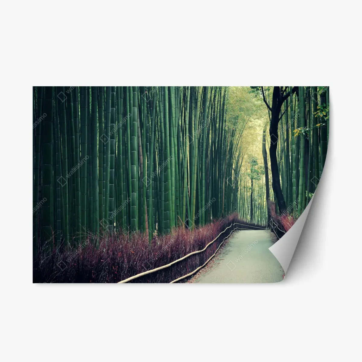 Repositionierbarer Aufkleber ruhiger bambuspfad in Arashiyama – Pixers®