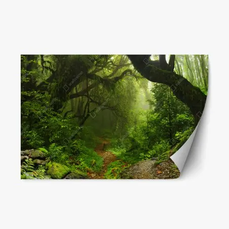 Repositionierbarer Aufkleber verwunschener moosiger waldpfad – Pixers®