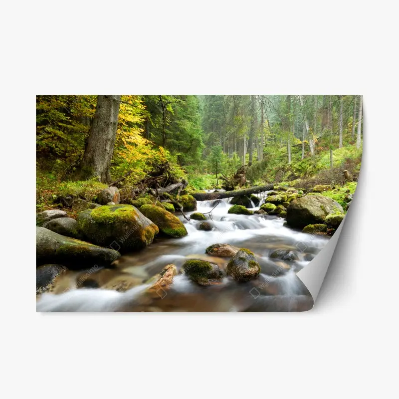 Repositionierbarer Aufkleber moosbedeckter waldbach im herbst