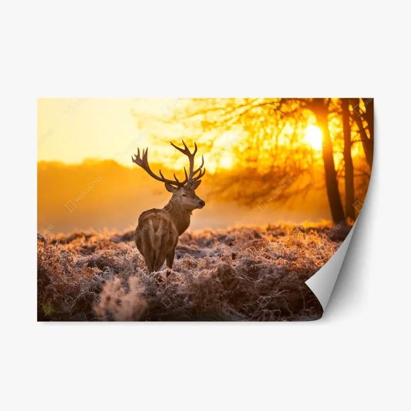 Repositionierbarer Aufkleber goldener hirsch im sonnenaufgang