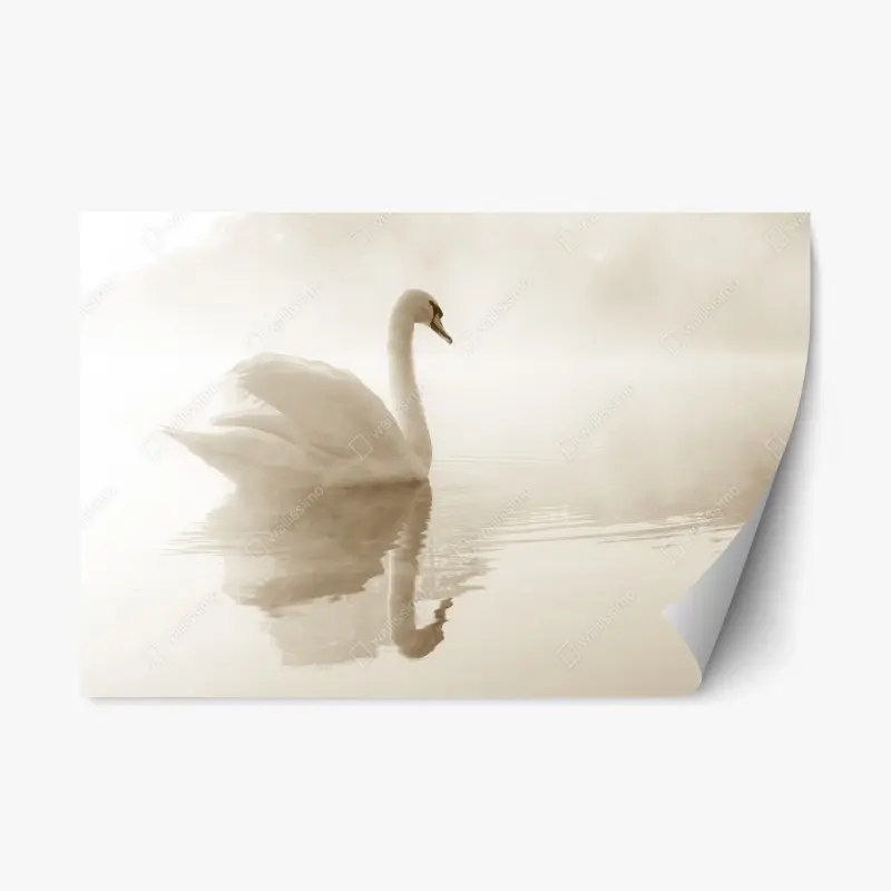 Repositionierbarer Aufkleber eleganter schwan im nebel