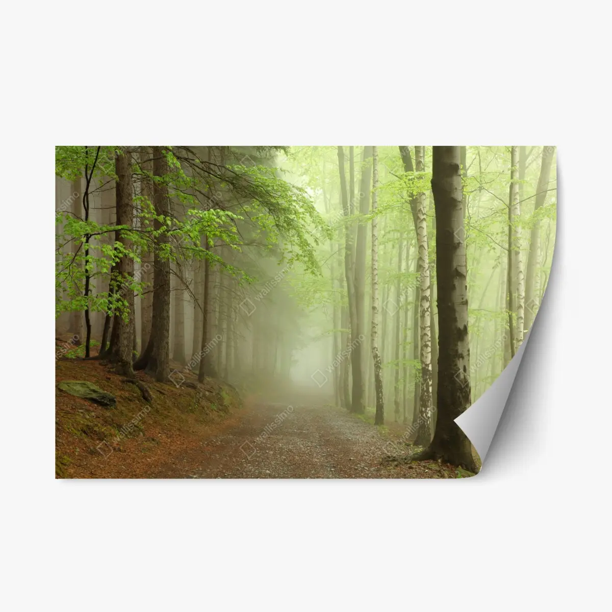 Repositionierbarer Aufkleber nebliger waldpfad – Pixers®