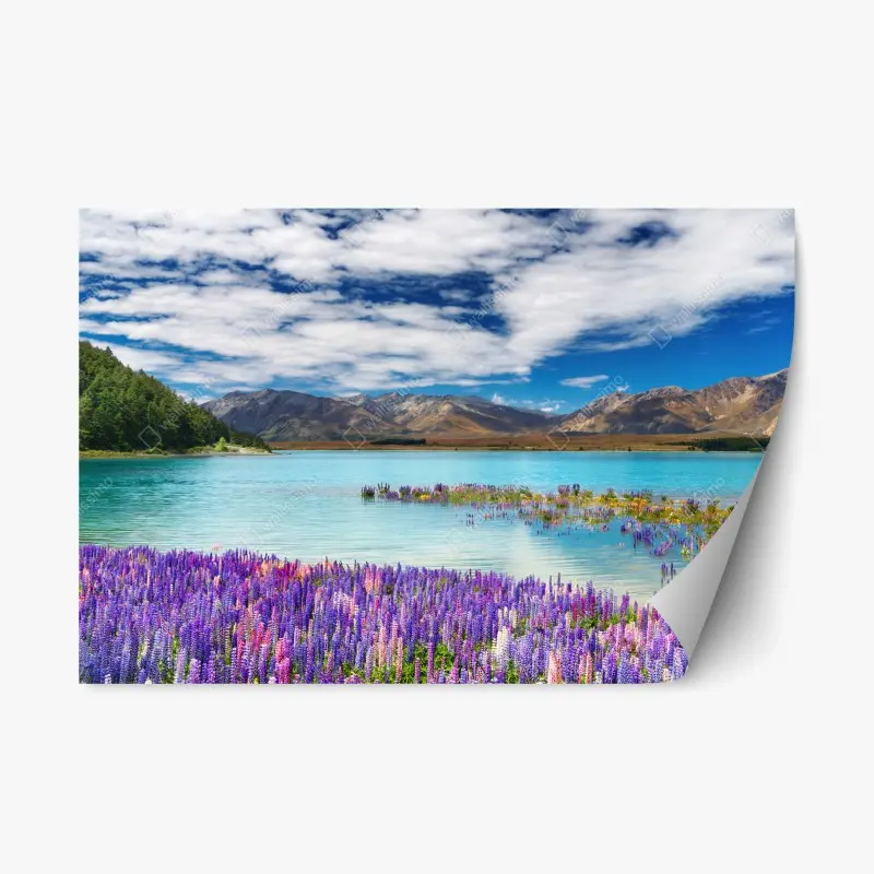 Repositionierbarer Aufkleber Lake Tekapo lupinenmeer am türkisen see