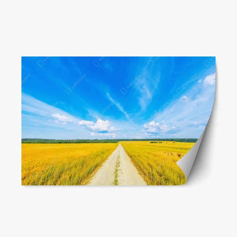 Repositionierbarer Aufkleber goldene wiese unter weitem blauem himmel