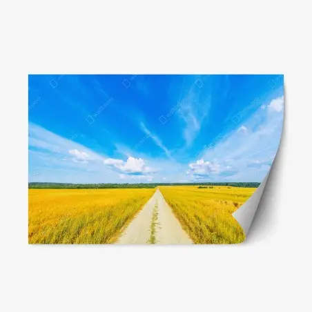 Repositionierbarer Aufkleber goldene wiese unter weitem blauem himmel – Pixers®