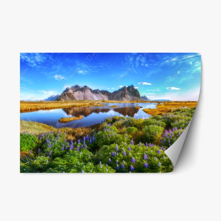 Repositionierbarer Aufkleber lupinenwiese am Vestrahorn, Island – Pixers®