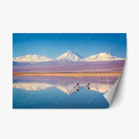 Repositionierbarer Aufkleber Laguna Chaxa mit flamingos und Licancabur – Pixers®