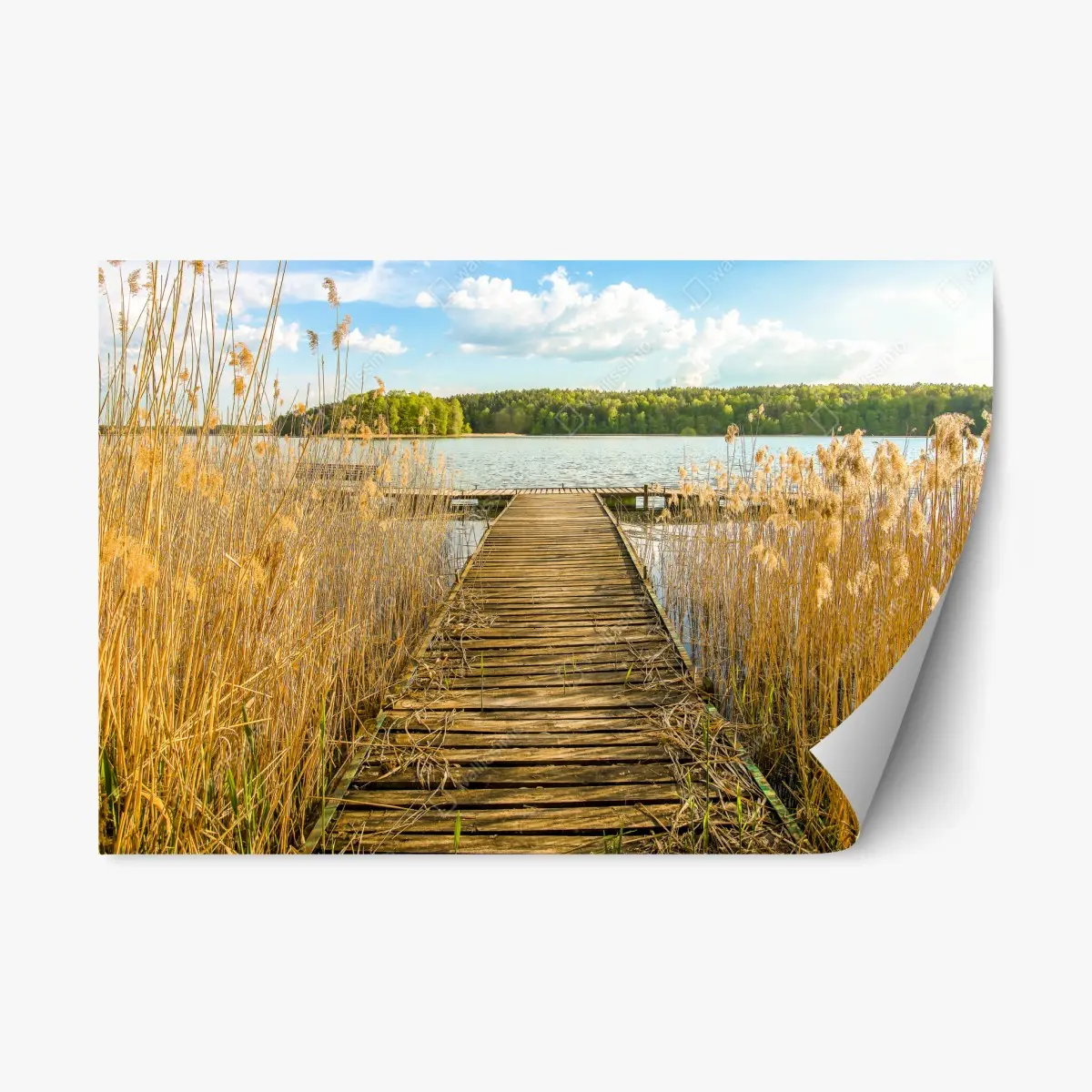 Repositionierbarer Aufkleber hölzerner steg zum ruhigen see – Pixers®
